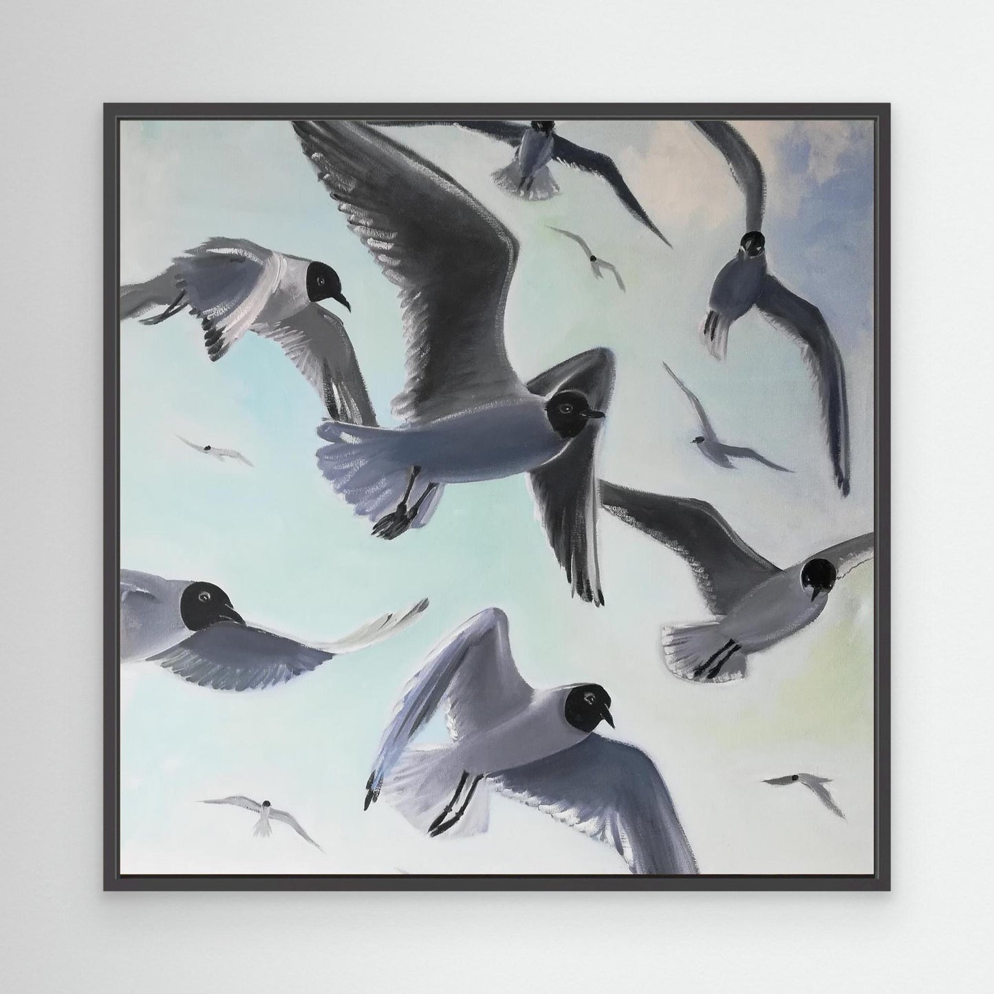 Gulls