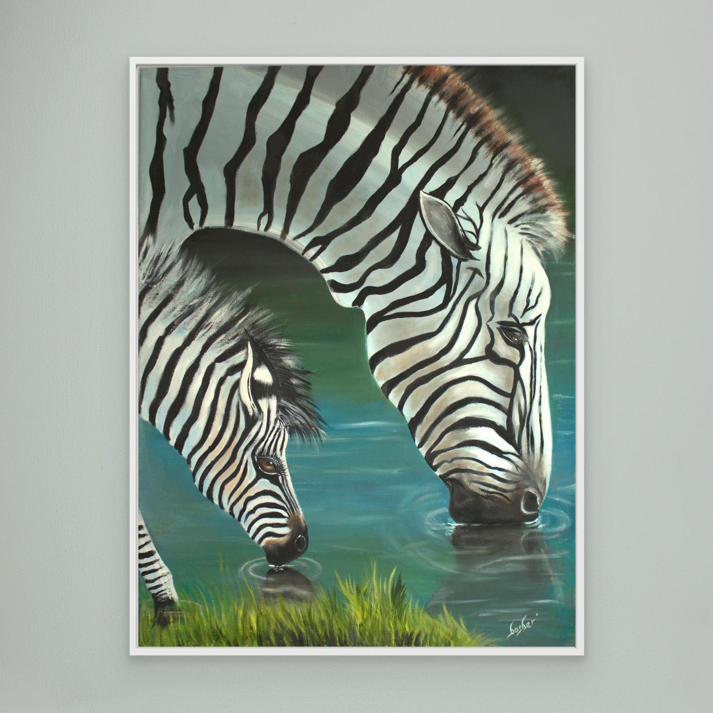 Zebra