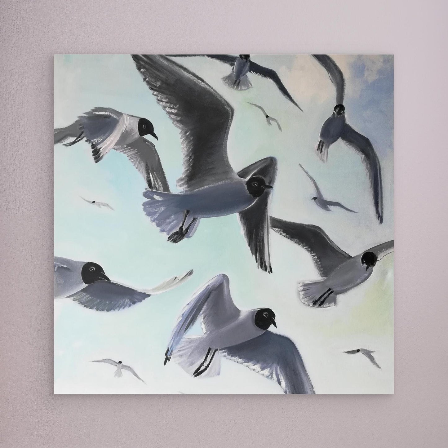 Gulls
