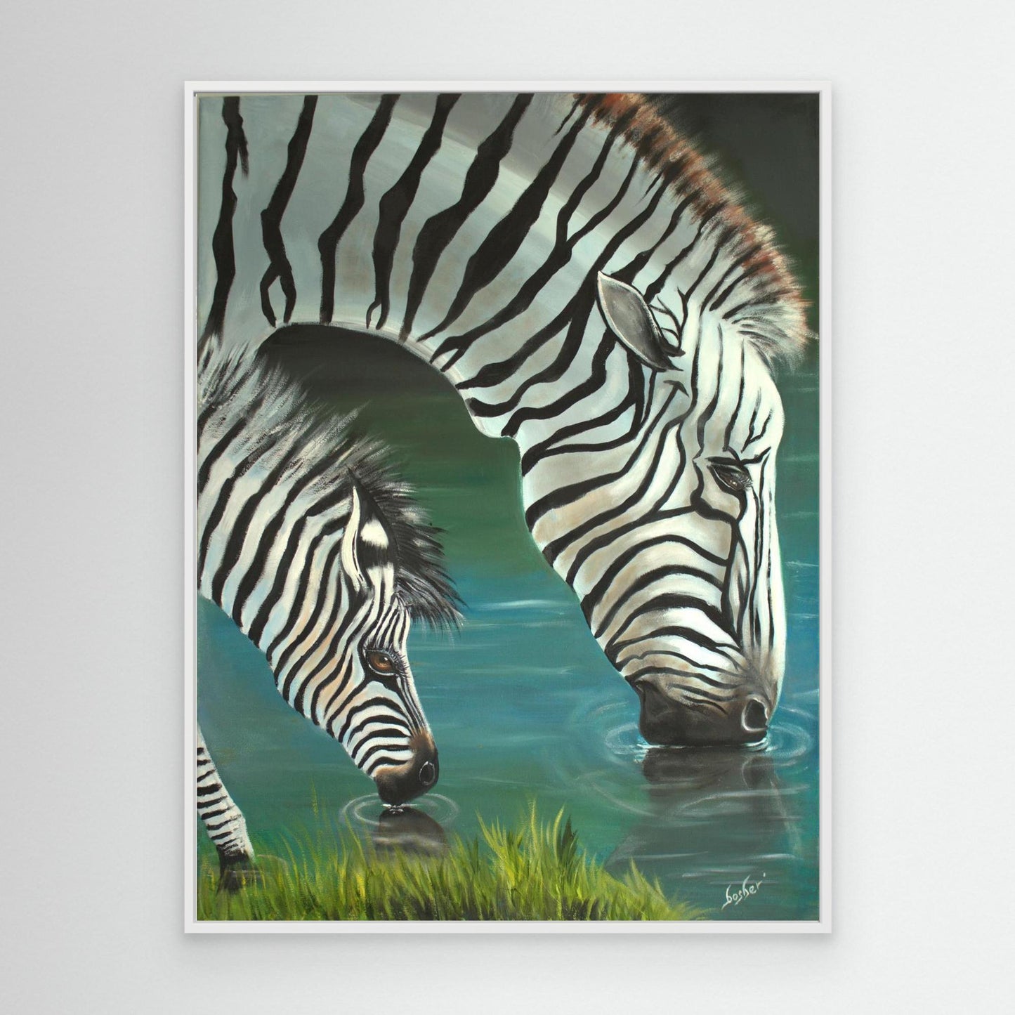 Zebra