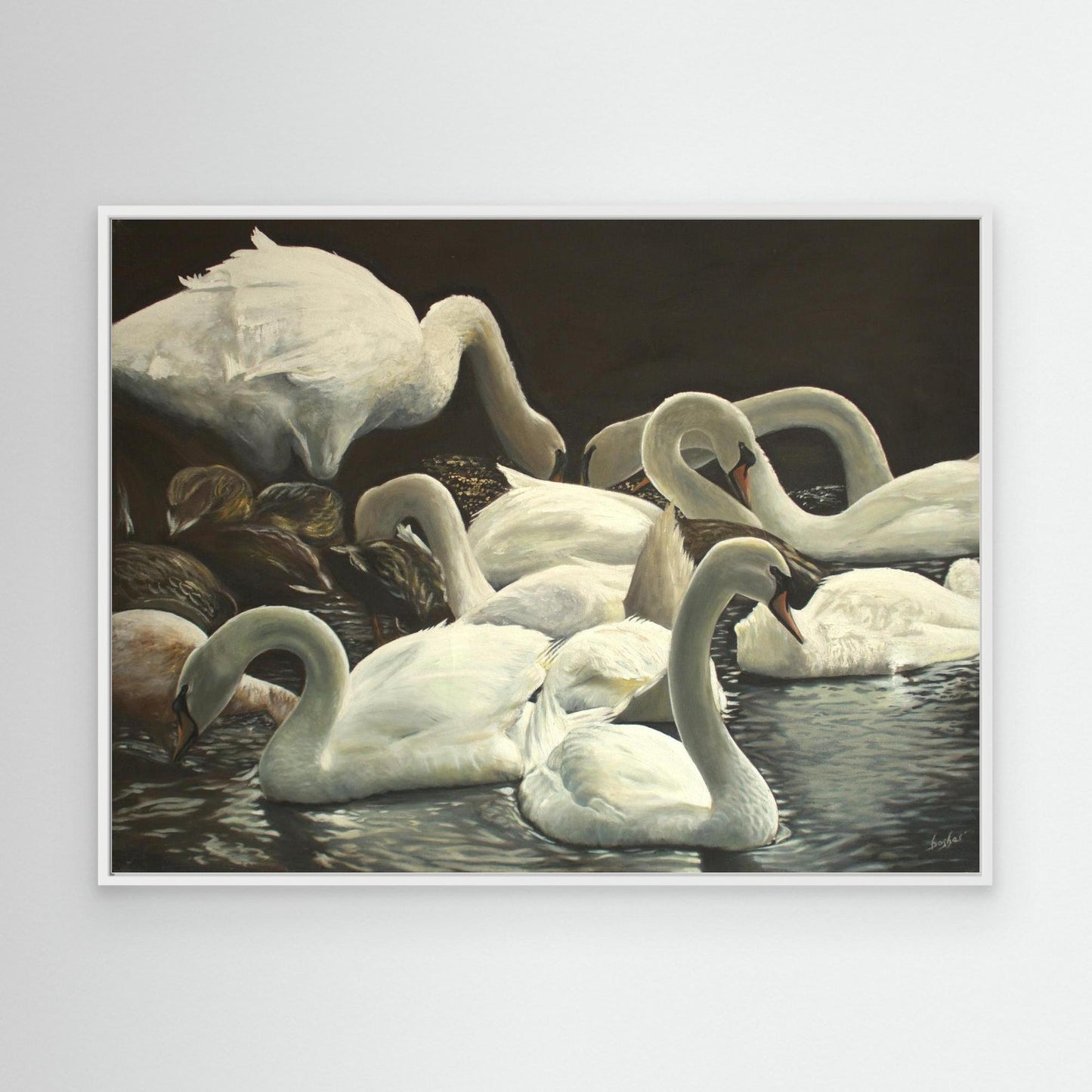 Swans Lake