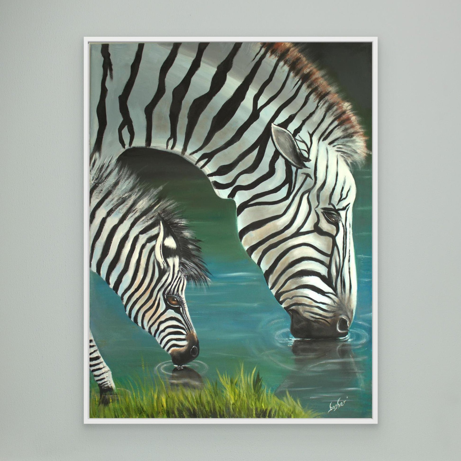 Zebra