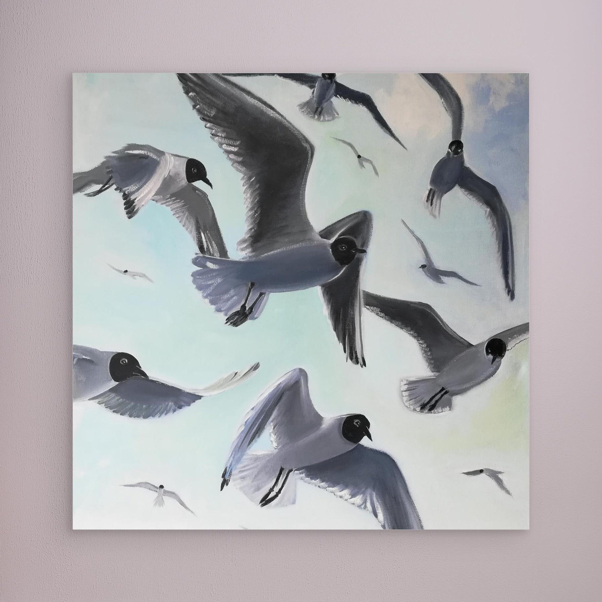 Gulls