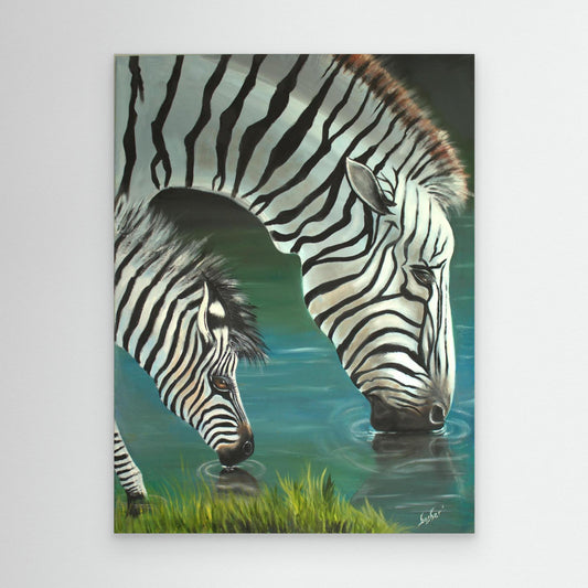 Zebra