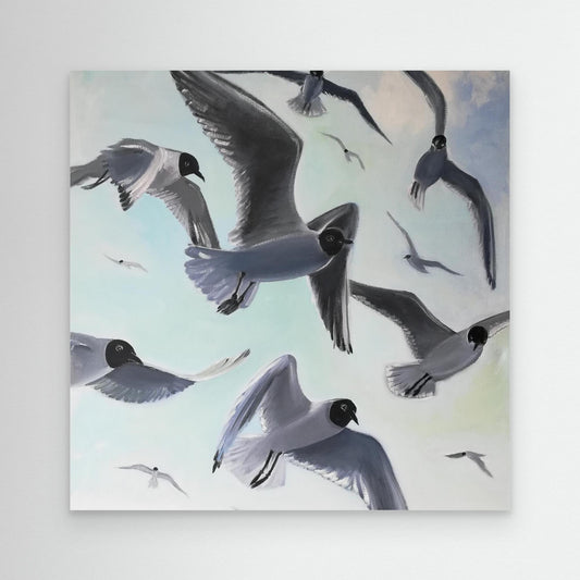 Gulls