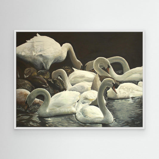Swans Lake